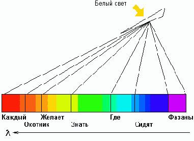 WEB 
