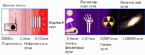 WEB 
