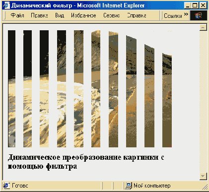 WEB 
