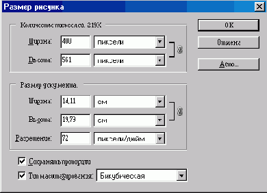 WEB 