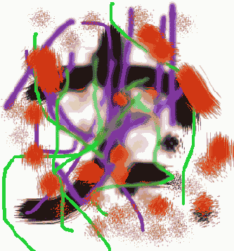 WEB 
