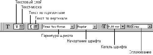 WEB 
