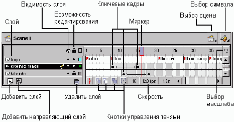 WEB 
