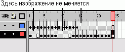 WEB 
