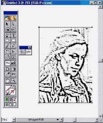 Adobe Illustrator 9.0
