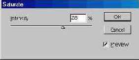 Adobe Illustrator 9.0
