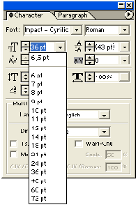    Adobe Illustrator 10

