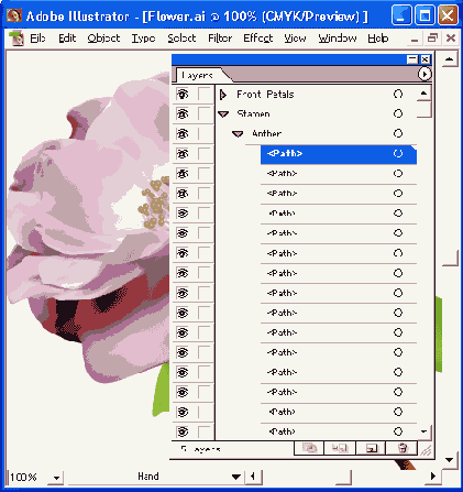    Adobe Illustrator 10
