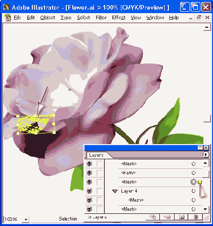    Adobe Illustrator 10
