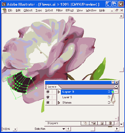    Adobe Illustrator 10

