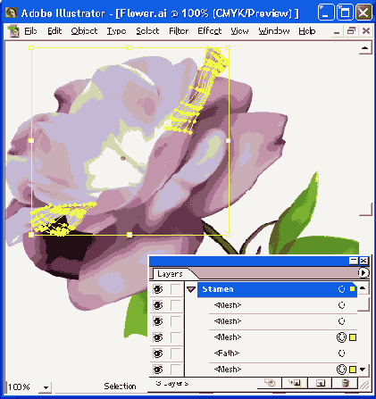    Adobe Illustrator 10

