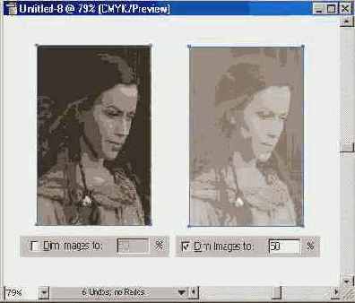 Adobe Illustrator 9.0
