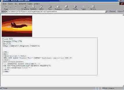 Adobe Illustrator 9.0
