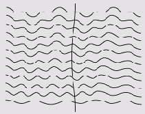  Adobe Illustrator CS
