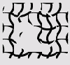  Adobe Illustrator CS
