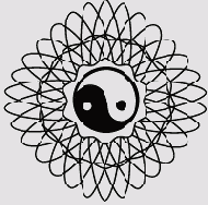  Adobe Illustrator CS
