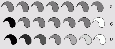  Adobe Illustrator CS
