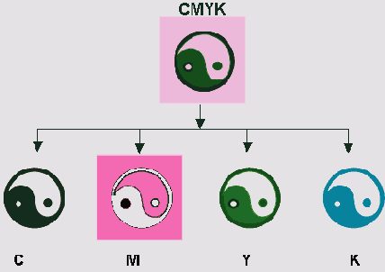  Illustrator CS
