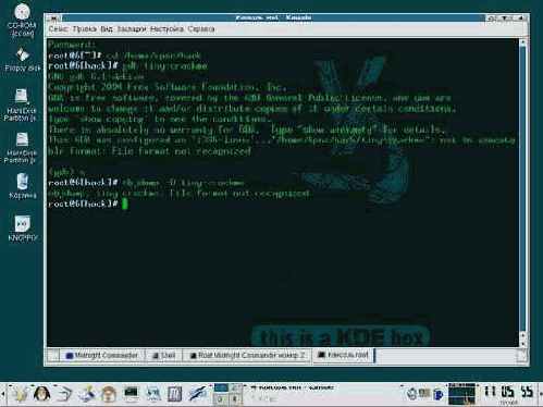 Особенности дизассемблирования под LINUX на примере tiny-crackme