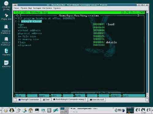 Особенности дизассемблирования под LINUX на примере tiny-crackme