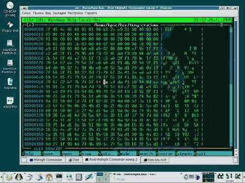 Особенности дизассемблирования под LINUX на примере tiny-crackme