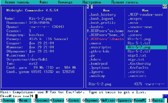 Основы работы в ОС Linux